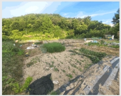  2025Ÿ��3287  �����