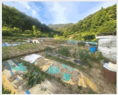  2025Ÿ��3287  �����