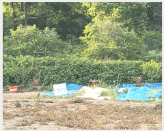  2025Ÿ��3287  �����