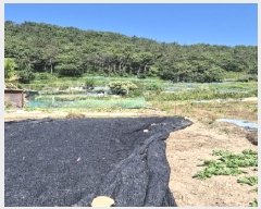  2025Ÿ��3287  �����