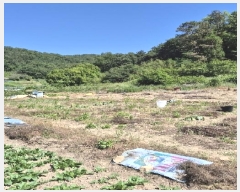  2025Ÿ��3287  �����