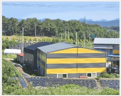  2025Ÿ��3836 ���� �强�� ��ȭ�� ���긮 59      ������