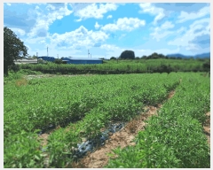  2025Ÿ��4389 ���� ���ֽ� ��õ�� ������ 11-68      ����(������)���