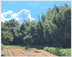  2025Ÿ��4389 ���� ���ֽ� ��õ�� ������ 11-68      ����(������)���