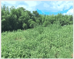  2025Ÿ��4389 ���� ���ֽ� ��õ�� ������ 11-68      ����(������)���