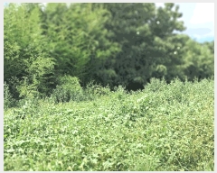  2025Ÿ��4389 ���� ���ֽ� ��õ�� ������ 11-68      ����(������)���