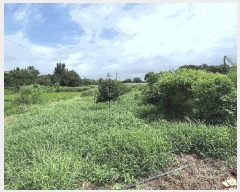  2025Ÿ��4754 ���� ���ֽ� ��Ȳ�� ������ 17      ����(��)���