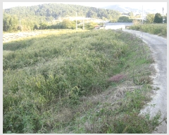  2025Ÿ��5979  �����