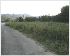  2025Ÿ��5979 ���� ������ ����� ��踮 1172-6      ����(��1)���