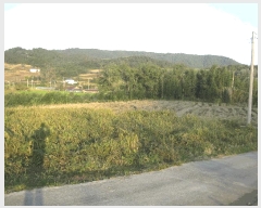  2025Ÿ��5979  �����