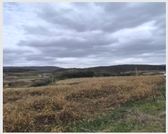  2025Ÿ��5979  �����