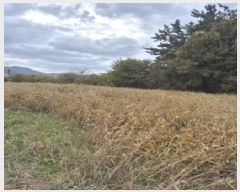  2025Ÿ��5979  �����