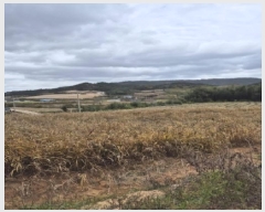  2025Ÿ��5979  �����