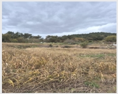  2025Ÿ��5979  �����