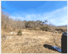  2025Ÿ31626  ȭ   123-1      ()