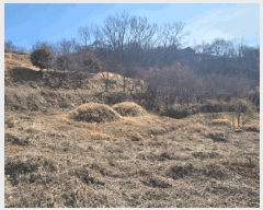  2025Ÿ31626  ȭ   123-1      ()