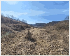  2025Ÿ31626  ȭ   123-1      ()