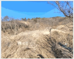  2025Ÿ31626  ȭ   123-1      ()