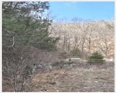  2025Ÿ31626  ȭ   123-1      ()