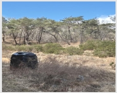  2025Ÿ31626  ȭ   123-1      ()