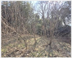  2025Ÿ31989  籺  簢 70-93      (Ӿ)