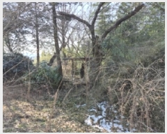  2025Ÿ31989  籺  簢 70-93      (Ӿ)