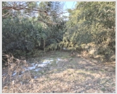  2025Ÿ31989  籺  簢 70-93      (Ӿ)