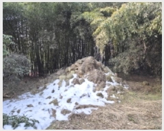  2025Ÿ31989  籺  簢 70-93      (Ӿ)