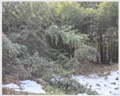  2025Ÿ31989  籺  簢 70-93      (Ӿ)