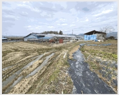  2025Ÿ32040  籺  õ 603-4      ()