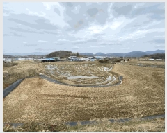  2025Ÿ32040  籺  õ 603-4      ()