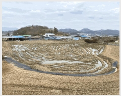  2025Ÿ32040  籺  õ 603-4      ()