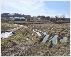  2025Ÿ32040  籺  õ 603-4      ()