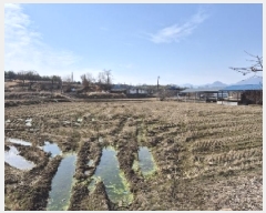  2025Ÿ32040  籺  õ 603-4      ()