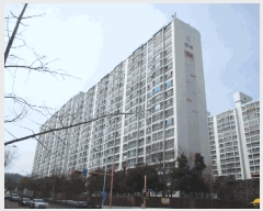  2025Ÿ32124  ϱ ϰ 814-4 104 14 1401ȣ    Ʈ