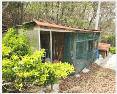  2025Ÿ��32387  ���ð��