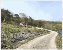  2025Ÿ��32387  ���ð��