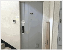  2025Ÿ32413   ̵ 871 󹫹鸶2ְƮ 206 101001ȣ    Ʈ