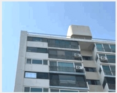  2025Ÿ32413   ̵ 871 󹫹鸶2ְƮ 206 101001ȣ    Ʈ