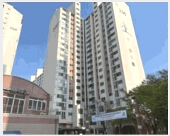  2025Ÿ32413   ̵ 871 󹫹鸶2ְƮ 206 101001ȣ    Ʈ