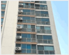  2025Ÿ32413   ̵ 871 󹫹鸶2ְƮ 206 101001ȣ    Ʈ