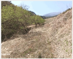  2025Ÿ��32479 ���� ��籺 ���繮�и� ������ 663      ����(��)���