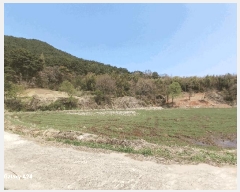  2025Ÿ��32479 ���� ��籺 ���繮�и� ������ 663      ����(��)���