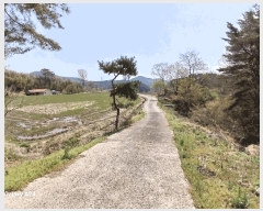  2025Ÿ��32479 ���� ��籺 ���繮�и� ������ 663      ����(��)���