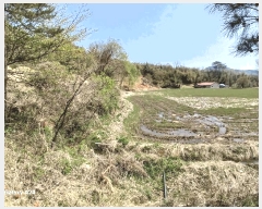  2025Ÿ��32479 ���� ��籺 ���繮�и� ������ 663      ����(��)���