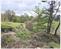  2025Ÿ��32479 ���� ��籺 ���繮�и� ������ 663      ����(��)���