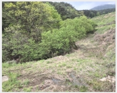  2025Ÿ��32479 ���� ��籺 ���繮�и� ������ 663      ����(��)���