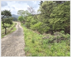  2025Ÿ��32479 ���� ��籺 ���繮�и� ������ 663      ����(��)���