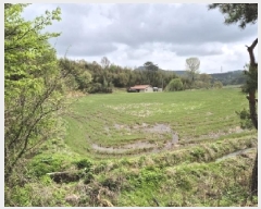  2025Ÿ��32479 ���� ��籺 ���繮�и� ������ 663      ����(��)���