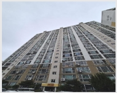  2025Ÿ32508    502 ξƮ 101 151503ȣ    Ʈ